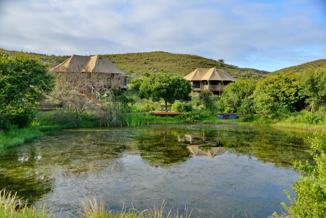 Garden Route Safari Camp Ξενοδοχείο Μόσελ Μπέι Εξωτερικό φωτογραφία