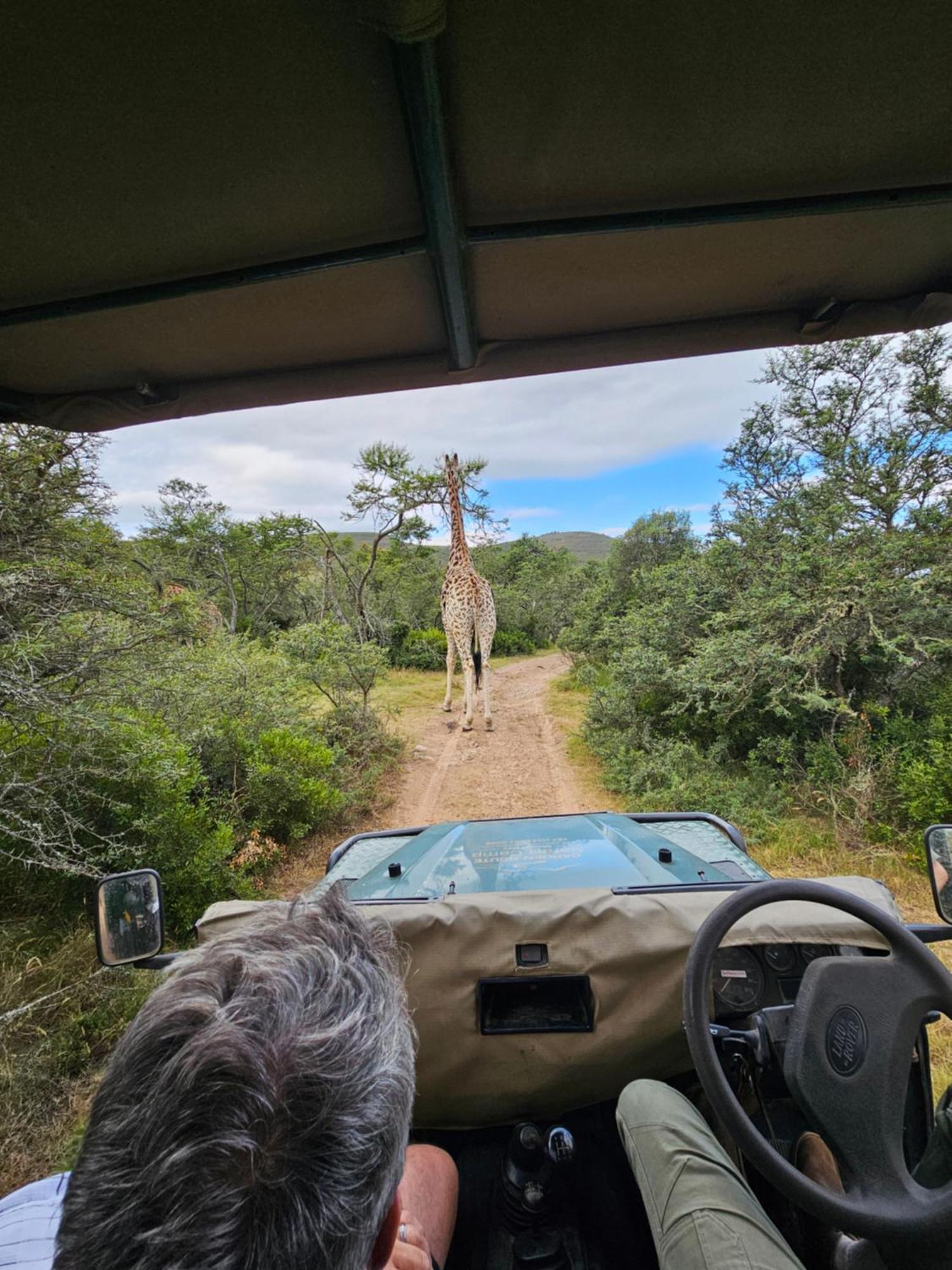 Garden Route Safari Camp Ξενοδοχείο Μόσελ Μπέι Εξωτερικό φωτογραφία