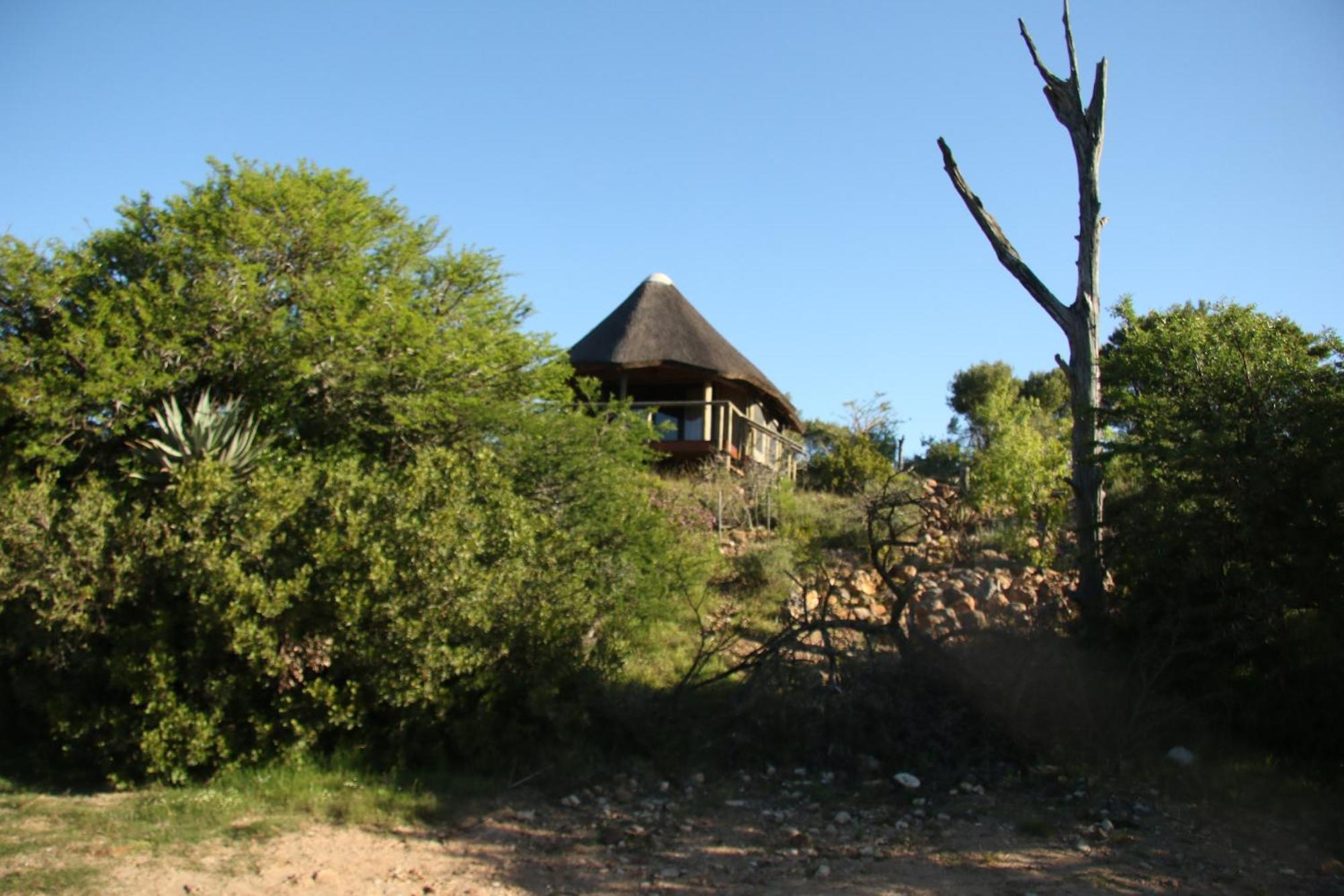 Garden Route Safari Camp Ξενοδοχείο Μόσελ Μπέι Εξωτερικό φωτογραφία