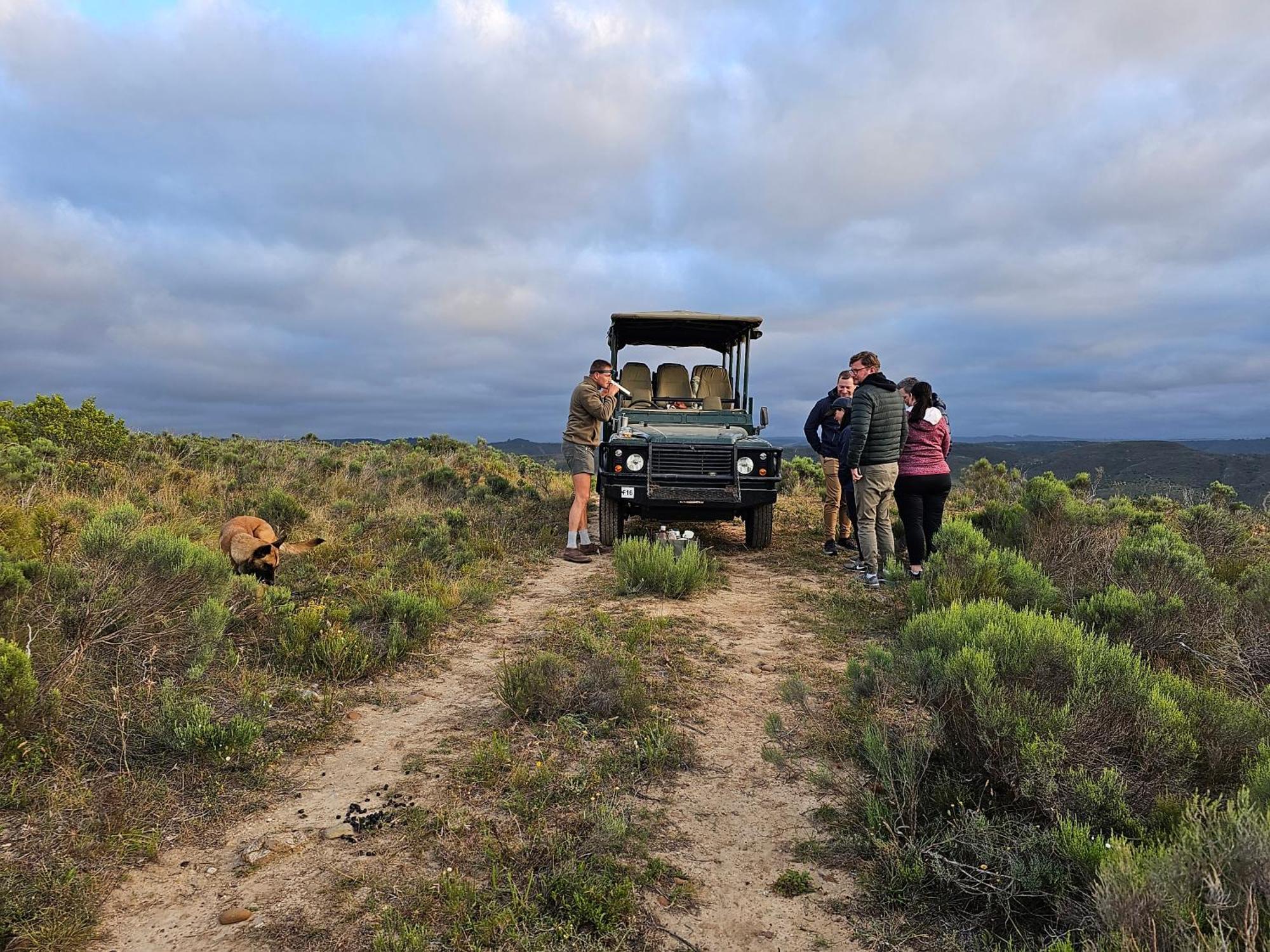 Garden Route Safari Camp Ξενοδοχείο Μόσελ Μπέι Εξωτερικό φωτογραφία