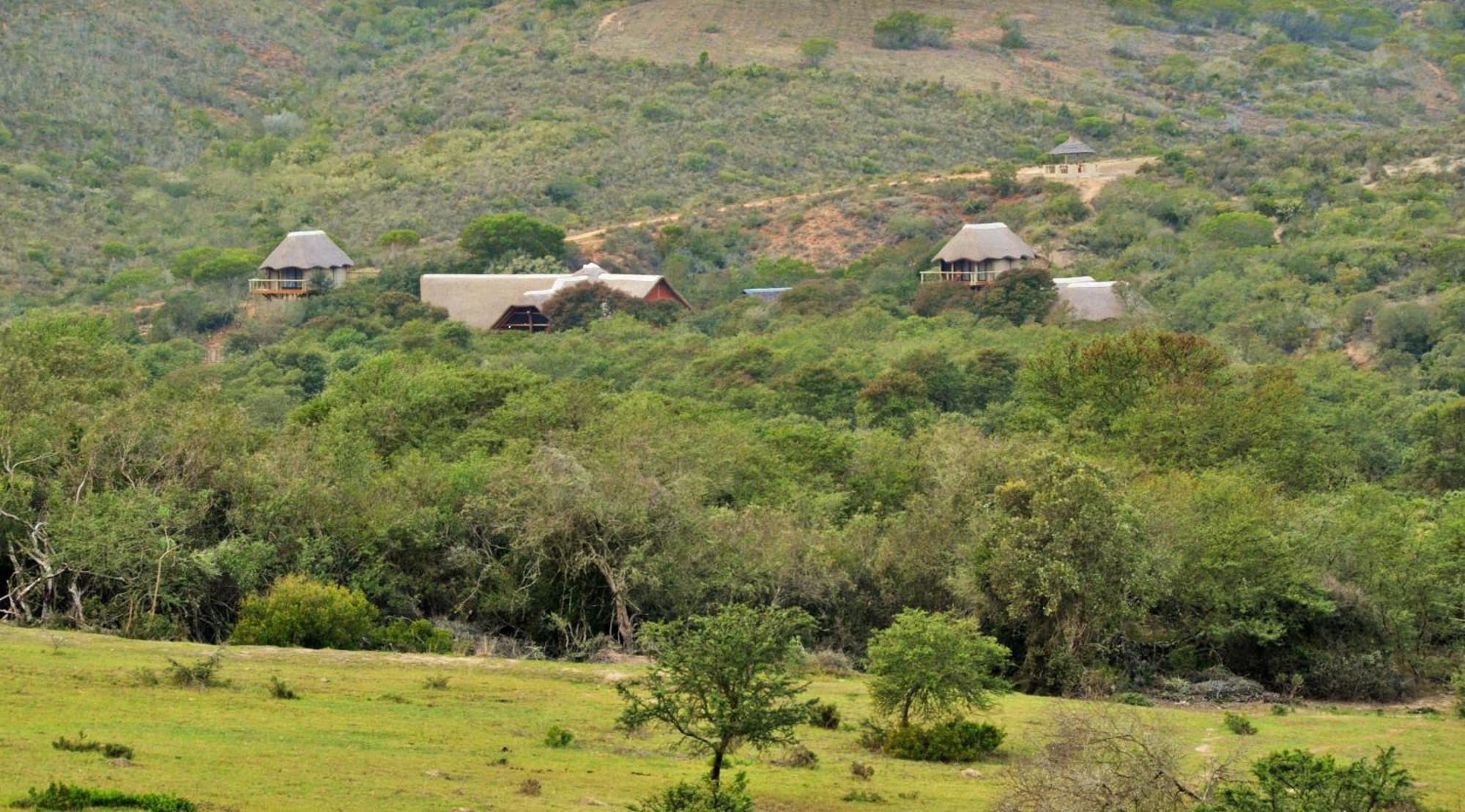 Garden Route Safari Camp Ξενοδοχείο Μόσελ Μπέι Εξωτερικό φωτογραφία