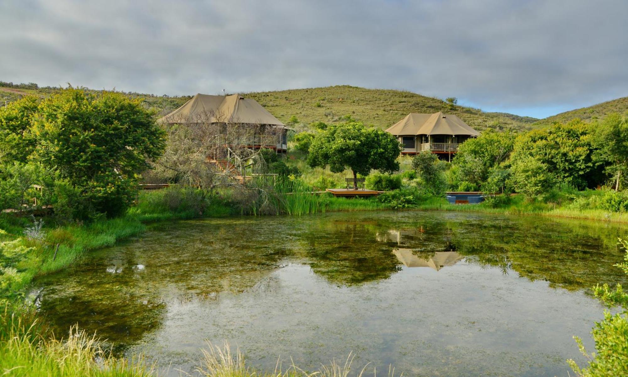 Garden Route Safari Camp Ξενοδοχείο Μόσελ Μπέι Εξωτερικό φωτογραφία