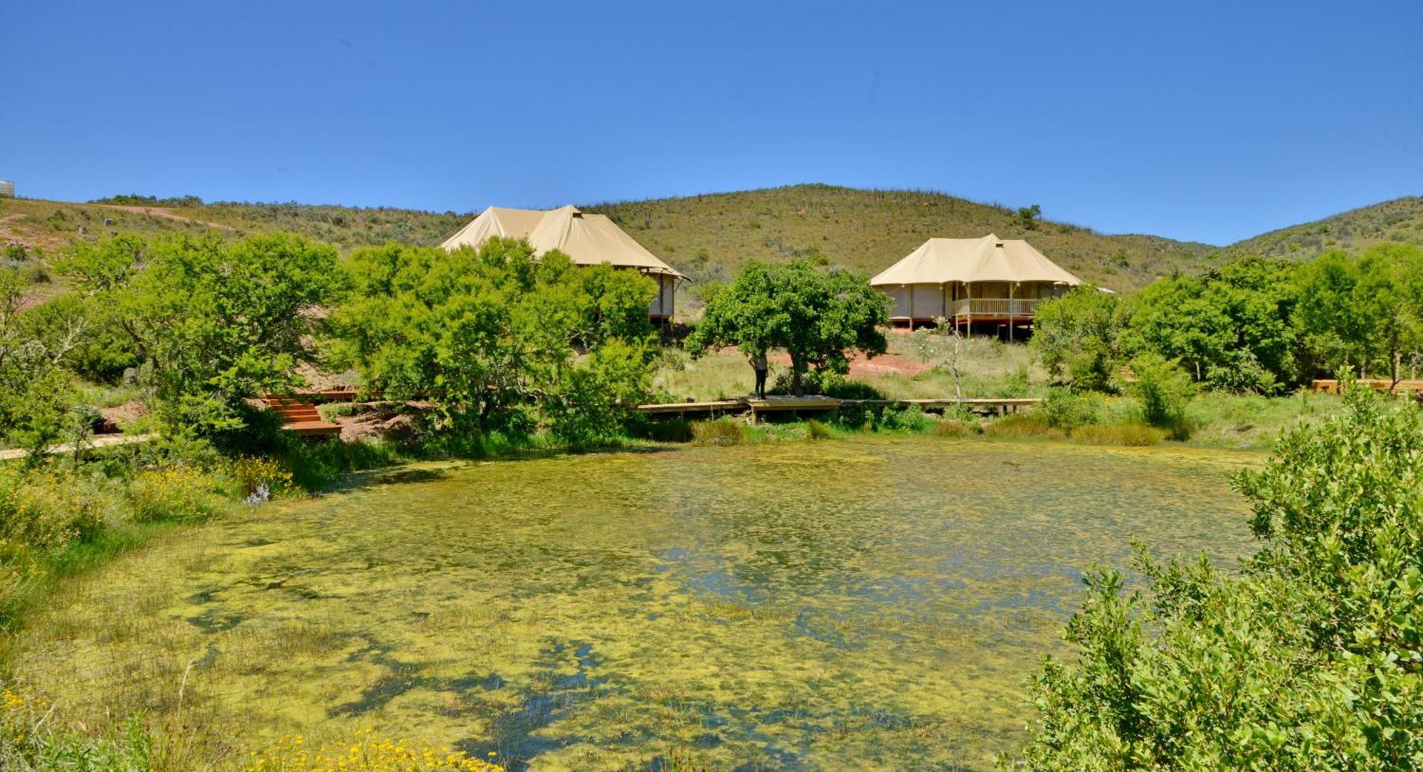 Garden Route Safari Camp Ξενοδοχείο Μόσελ Μπέι Εξωτερικό φωτογραφία