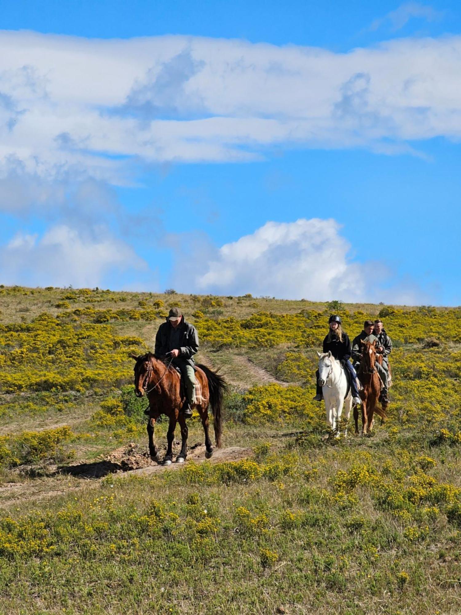 Garden Route Safari Camp Ξενοδοχείο Μόσελ Μπέι Εξωτερικό φωτογραφία