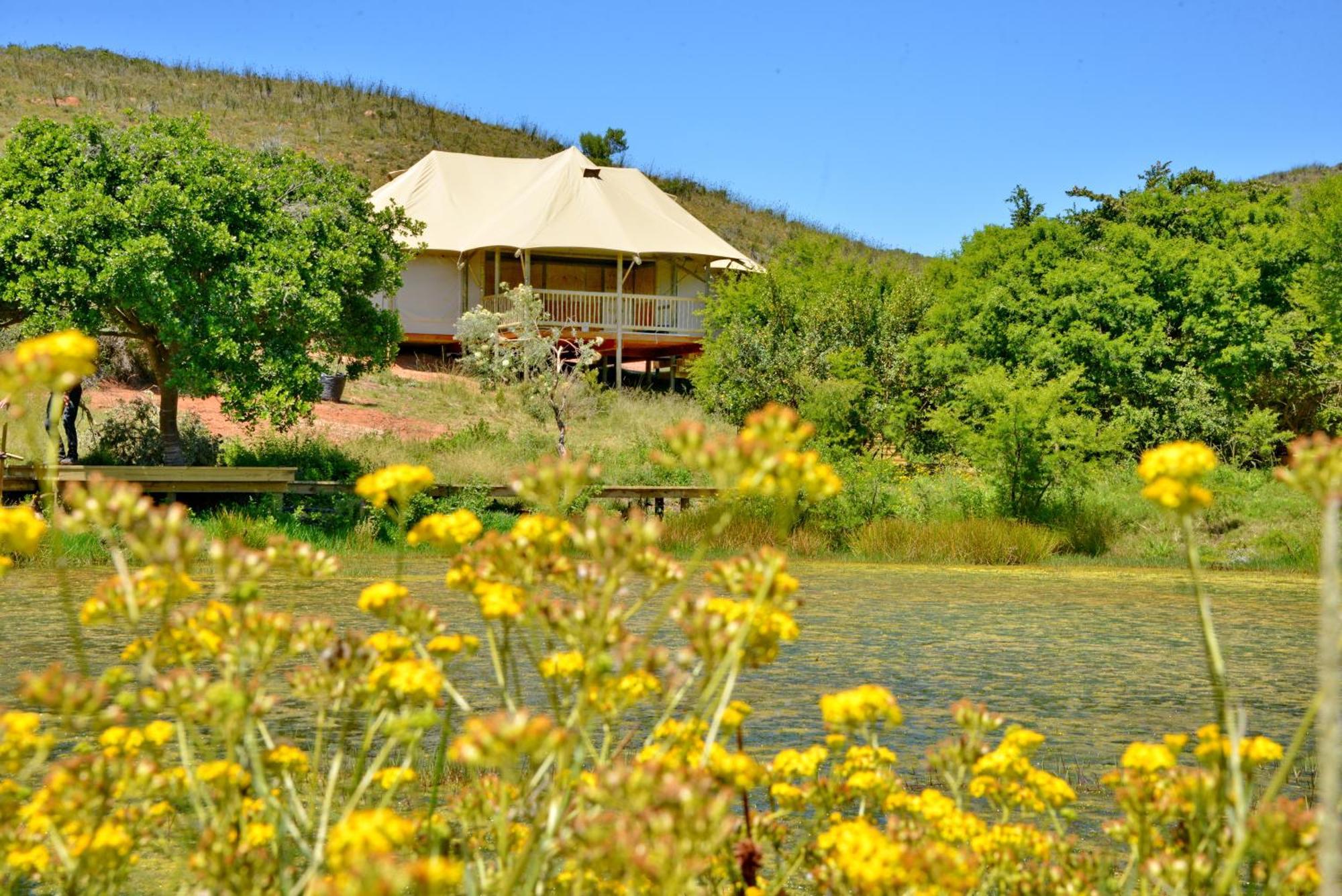 Garden Route Safari Camp Ξενοδοχείο Μόσελ Μπέι Εξωτερικό φωτογραφία